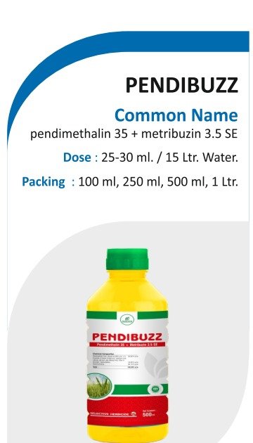 PENDIBUZZ product pack shot from brochure