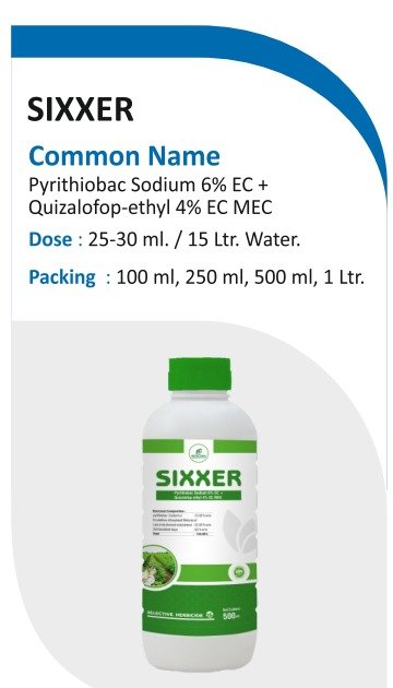 SIXXER product pack shot from brochure