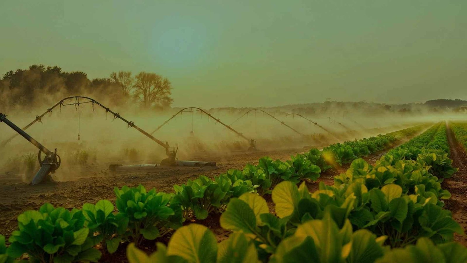 Rescrin research-led crop protection showcase